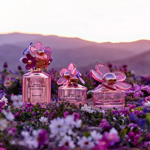 Marc Jacobs 親愛雛菊紫嫣之境限量版女性淡香水