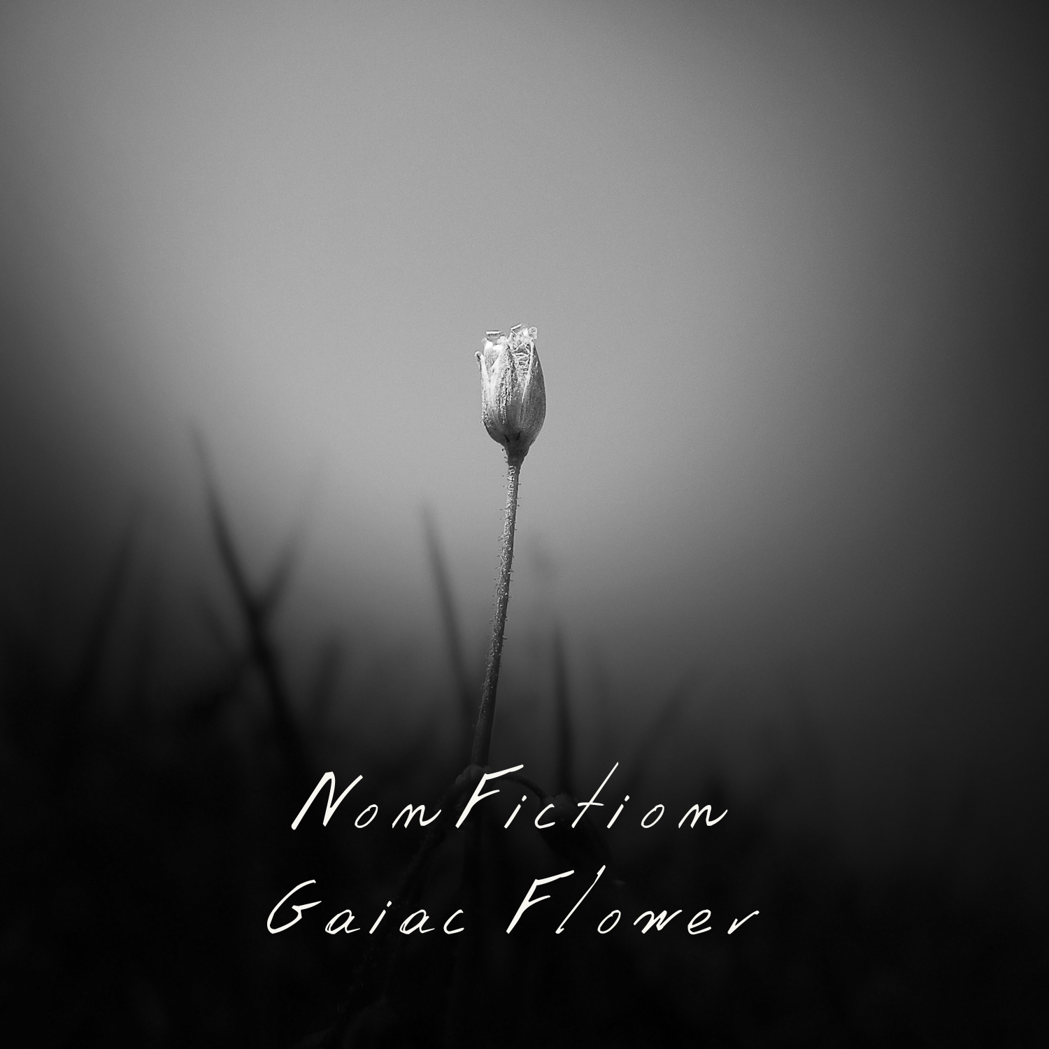 韓國 NonFiction Gaiac Flower 蓋亞花香水