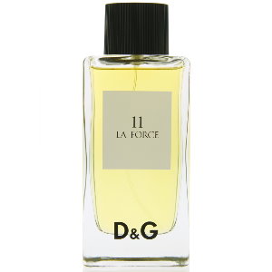 D&G 11 王者風範中性淡香水 TESTER